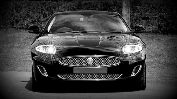 Strumenti Di Piattaforma Avanzati Per Ogni Giocatore ❌ Isole   🎟️